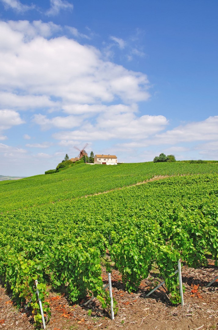 A Comprehensive Guide to Visiting France’s Champagne Region