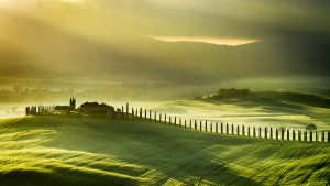 Italy, Tuscany, road