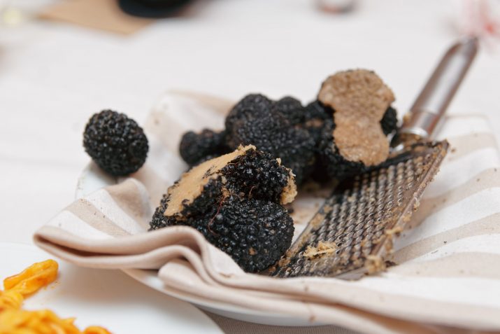 The Go-Getters Guide to Truffle Hunting