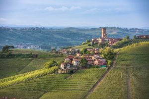 Panorama of Piedmont vineyards and Barbaresco town