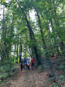 Wine trekking in Italy, Piedmont