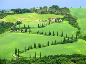 Italy - Tuscany - Val d’Orcia rolling green hills