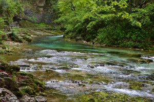 Vintgar Gorge in Slovenia