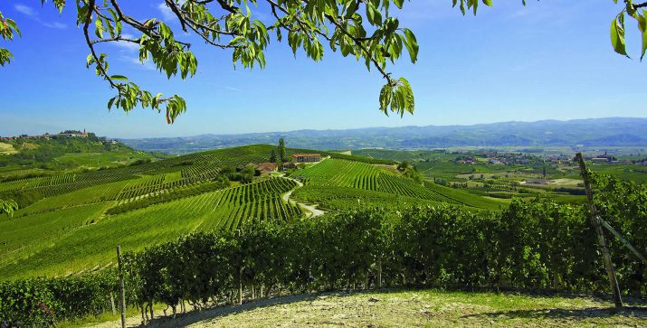 The Grand Wine Tour Series: Cascina Chicco