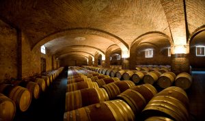 The Cellars of Ceretto Winery