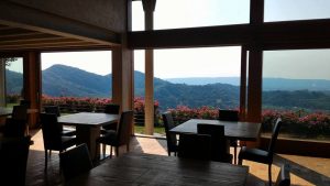 View from Col Vetoraz across the rolling Prosecco hills