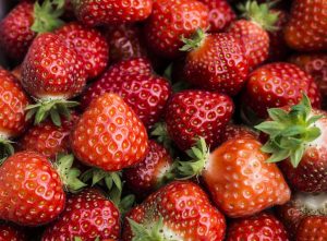 Try your hand at strawberry picking