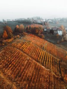 Tenuta Alemanni