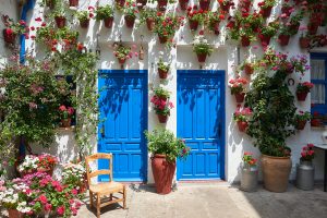 Blue patio doors & flowers in Spain