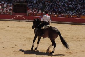 Pamplona is infamous for its San Fermin festival