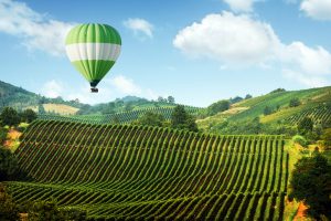 Amazing rural landscape with green balloon under vineyard on Italy hills. Vine making background