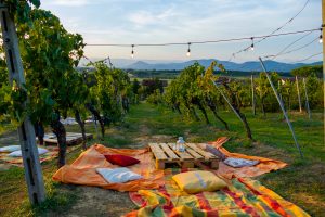 Picnic and wine tasting at sunset in the hills of Italy, Tuscany. Vineyards and open nature in the summer. Romantic dinner, fruit and wine.