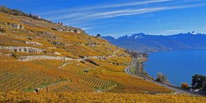 The beautiful vineyards of Lavaux overlooking Lake Geneva