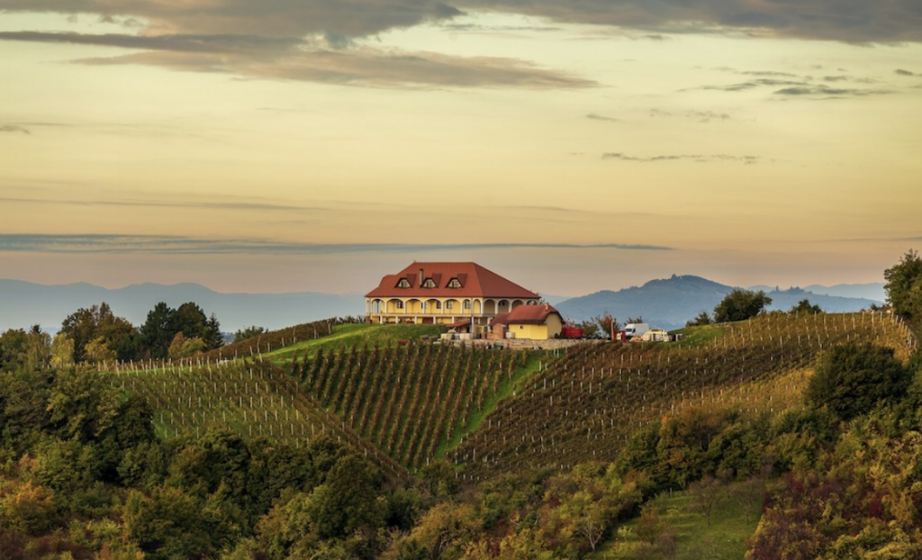 Plešivica wine region (Photo from Visit Zagreb Tourism board)