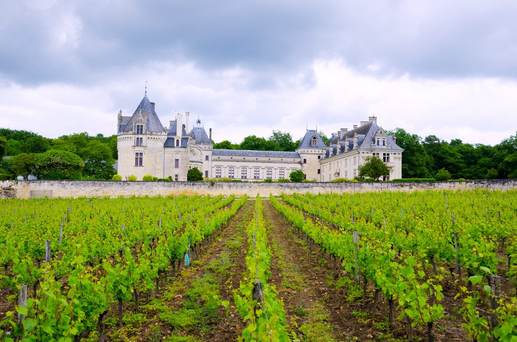 Breze Chateau and vineyard in Loire Valley, France
